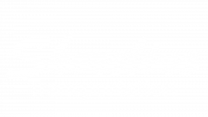 Shoreline Transportation